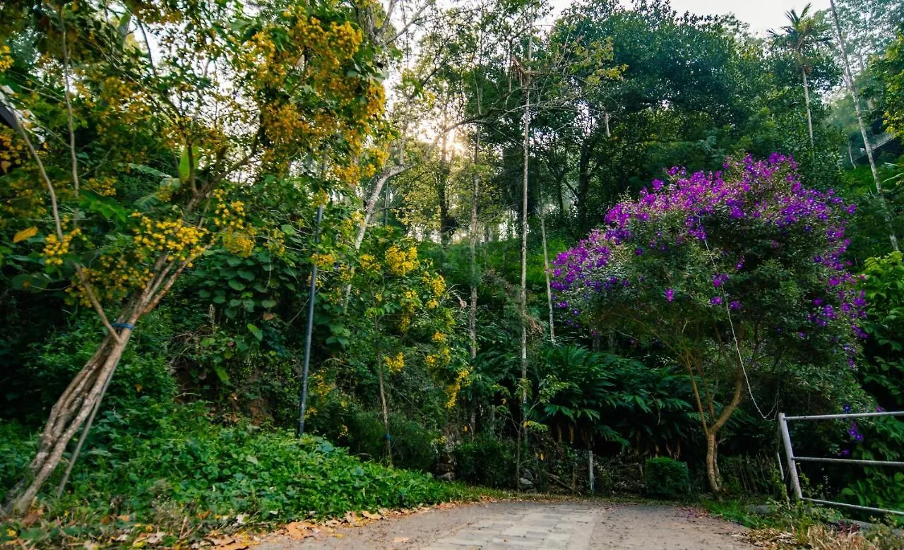 Southern Panorama Indriya Resorts & Spa Munnar