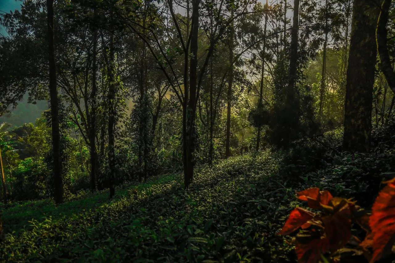 Southern Panorama Indriya Resorts & Spa Munnar