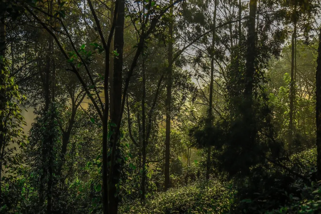 Southern Panorama Indriya Resorts & Spa Munnar